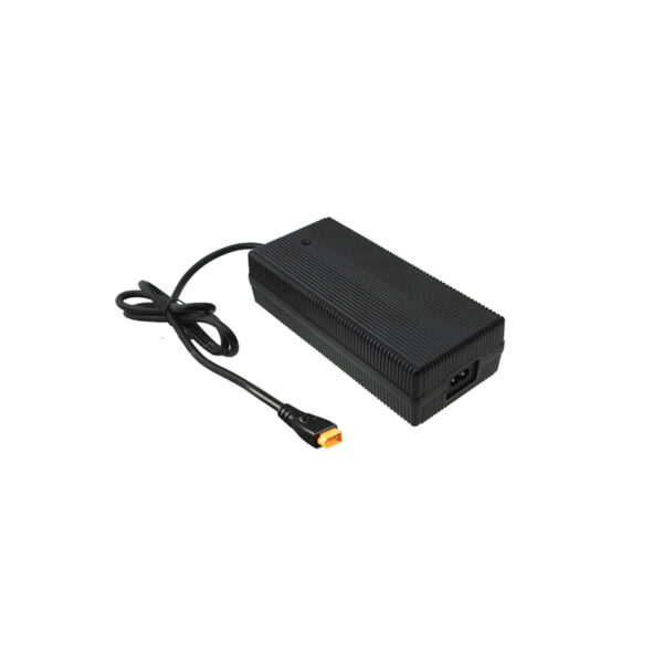 12 amp li ion battery charger