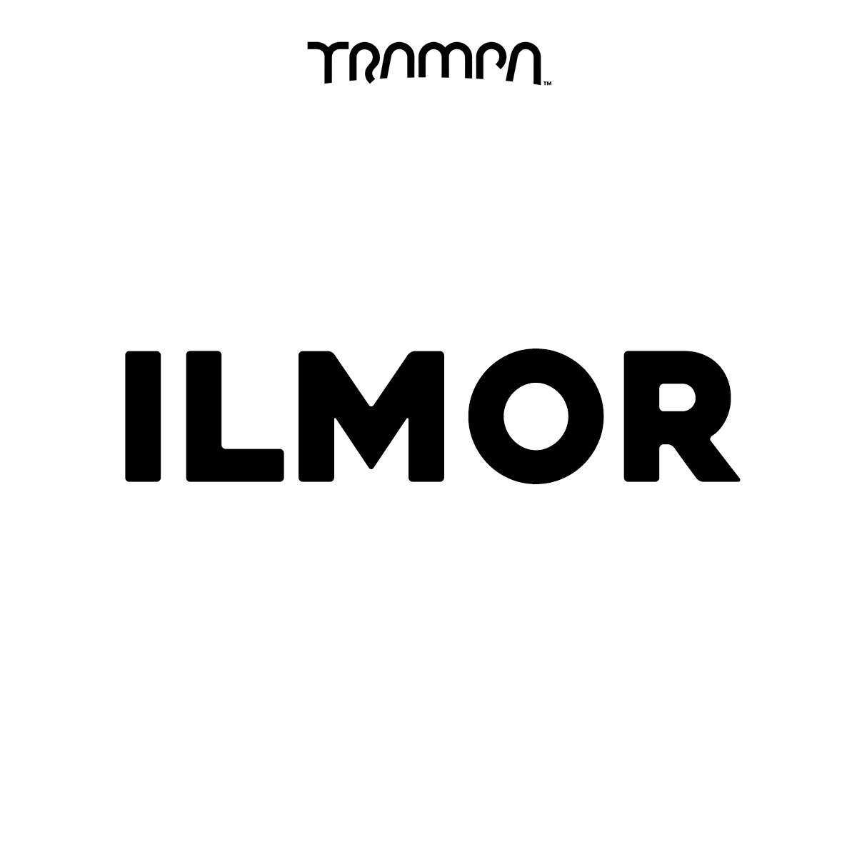 Ilmor – End of Line Testing